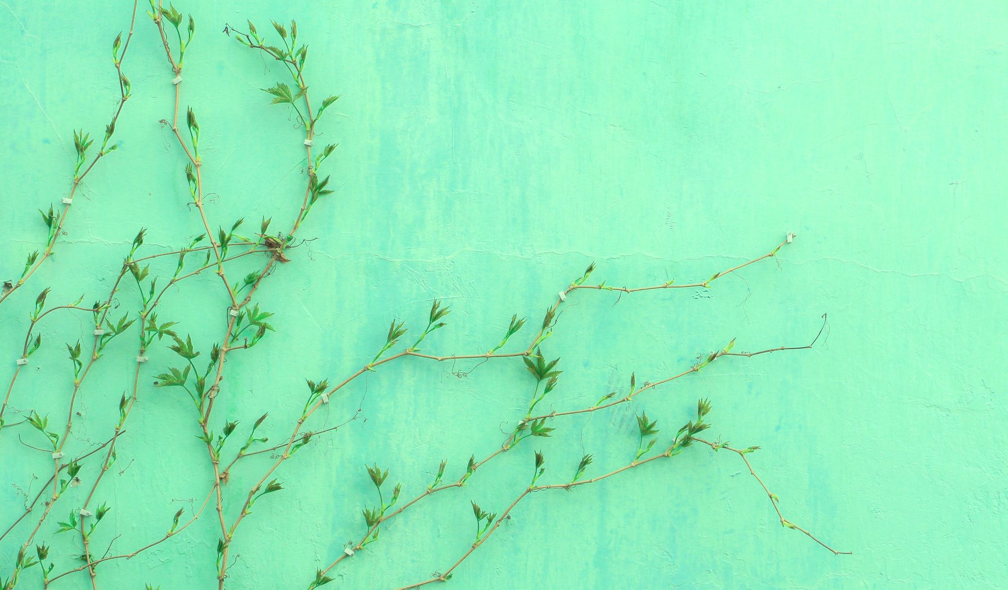 ESG Investing Environmental Social And Governance ESG Criteria 