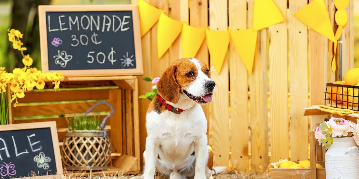 Feature image for 15 clever ways to make more money
