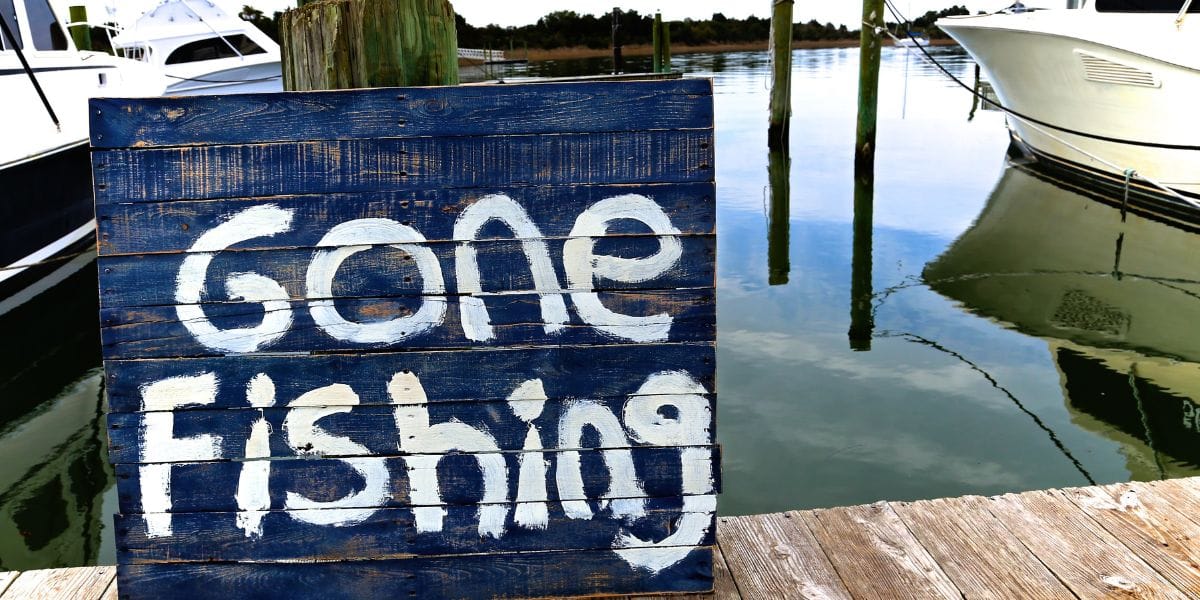 Feature image for Why JOMO could be your investing superpower